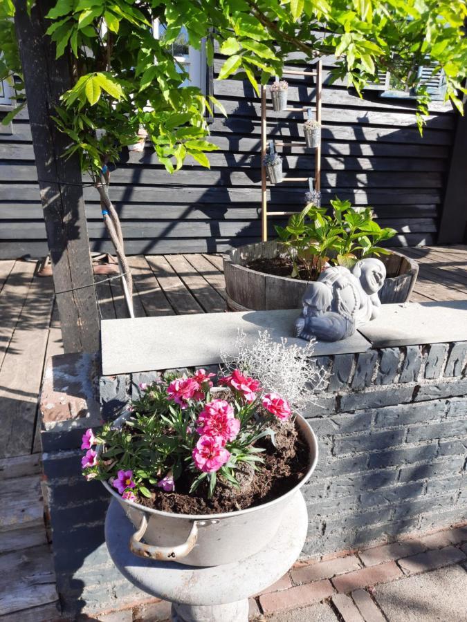 安奈科民宿 Woensdrecht 外观 照片