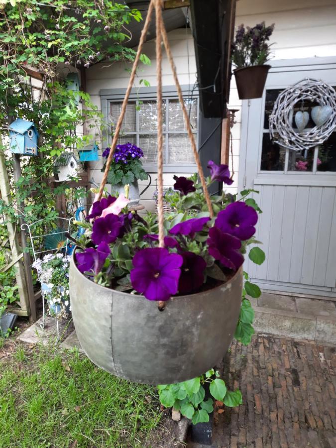 安奈科民宿 Woensdrecht 外观 照片
