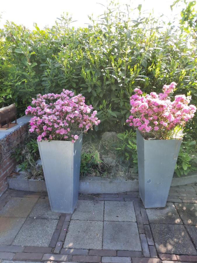 安奈科民宿 Woensdrecht 外观 照片
